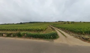 Electricien Eurl Michel Larose Et Fils à Meursault