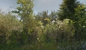 Electricien Maurin Marc à Saint-Bauzille-de-Putois