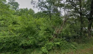 Electricien Virea Solutions à Glénic