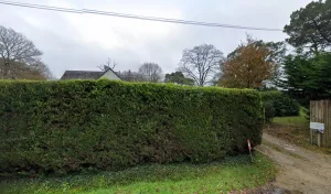 Electricien Franck Evennou à Clohars-Carnoët