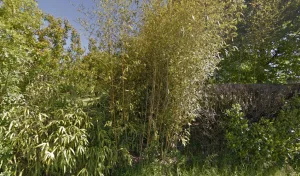 Electricien Durand Christophe à 24680 Gardonne