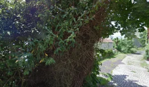 Electricien JMP Electricité à Saint-Gènes-Champanelle