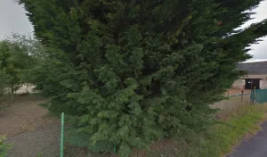 Electricien Eurl Bouchet adrien électricité générale à Channay-sur-Lathan