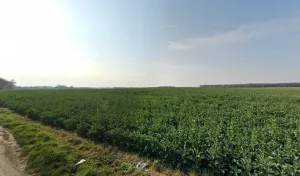 Electricien Bordage Bruno à Saint-Agnant