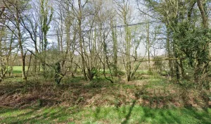 Electricien Labrosse François à 87240 Ambazac