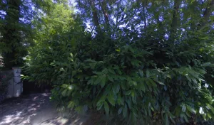 Electricien Electricite Urmelli E.u à La Colle-sur-Loup