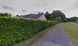 Electricien Homes-Connect à Guéron