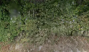 Electricien Société T3A Pascal BOCAGE à Épaignes