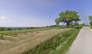 Electricien Soubiran Bernard à 32100 Condom