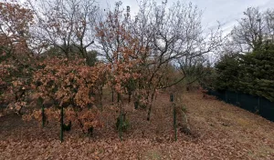 Electricien Ledoux Philippe à Saint-Saturnin-lès-Apt