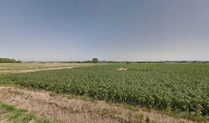 Electricien Ryckebusch Picotin à Bollezeele